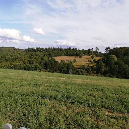Ferienwohnung Altmaier - Ferien Auf Dem Lande Griebelschied ภายนอก รูปภาพ