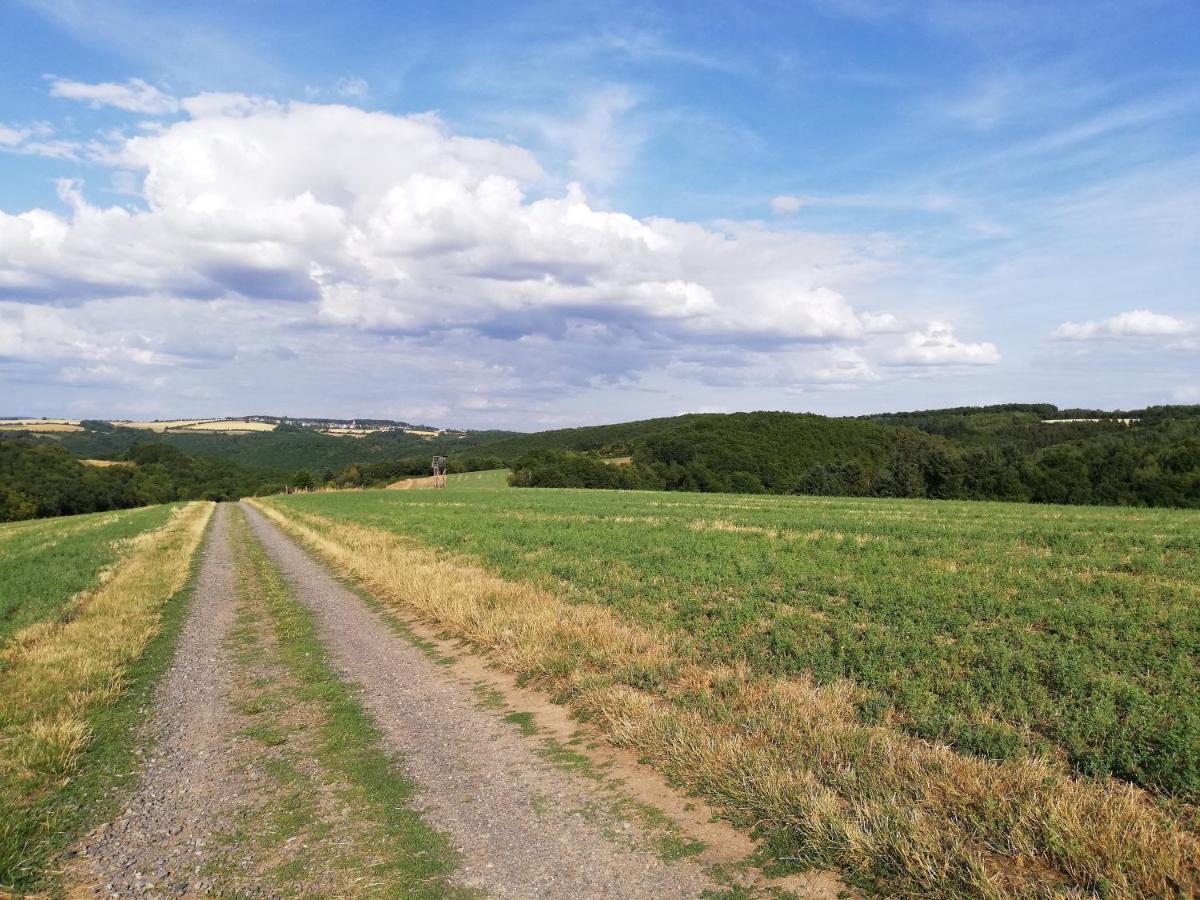 Ferienwohnung Altmaier - Ferien Auf Dem Lande Griebelschied ภายนอก รูปภาพ